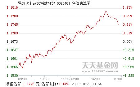 502048-502048基金净值查询