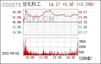 000576-000576甘化科工