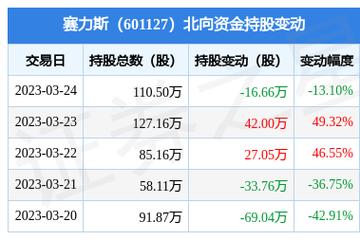 赛力斯-赛力斯 股票