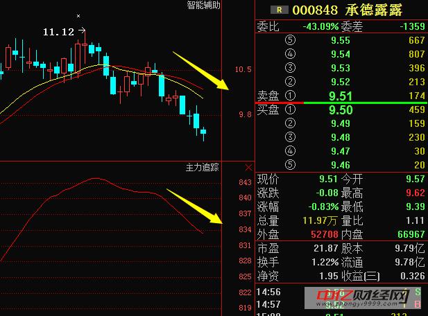 000848-000848承德露露股吧