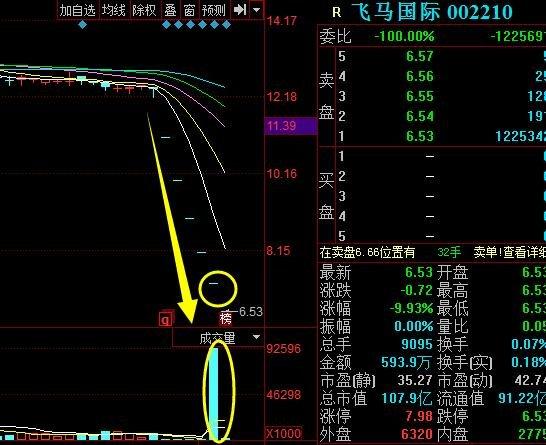 飞马国际-飞马国际股吧