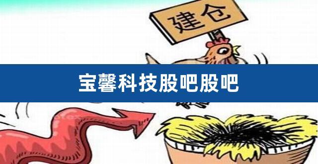 宝馨科技-宝馨科技股票股吧