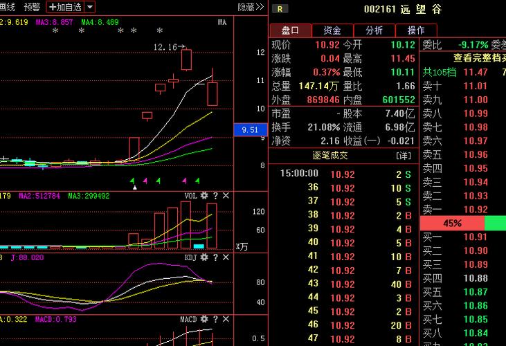 远望谷股票-远望谷股票股吧