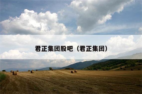 君正集团-君正集团股吧