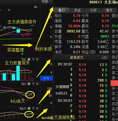 000613-000613大东海a退市