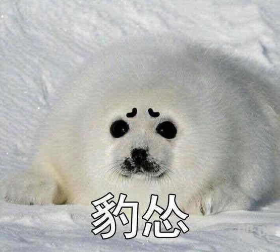 601992股吧-601229股吧