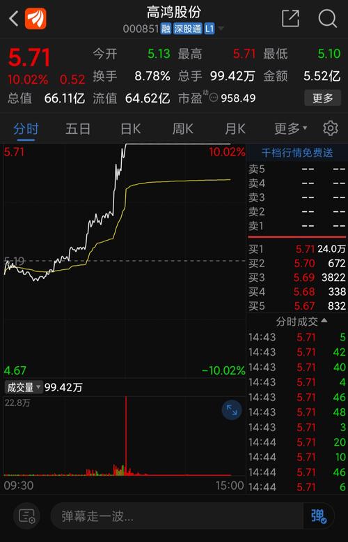高鸿股份股票-高鸿股份股票股吧