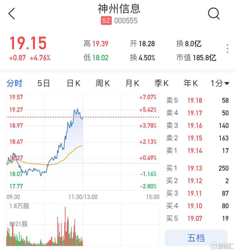 神州股份-神州股份000555股票
