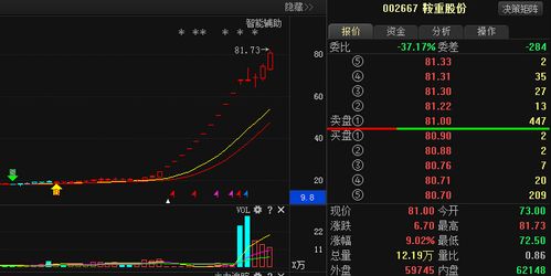 鞍重股份股票-002667鞍重股份股票