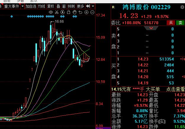 鸿博-鸿博股份股票