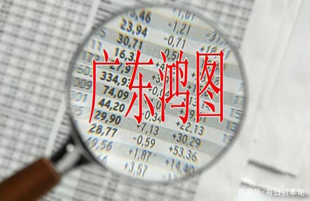 广东鸿图-广东鸿图半年报预告
