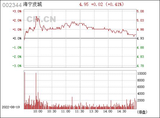 海宁皮城002344-海宁皮城002344股票