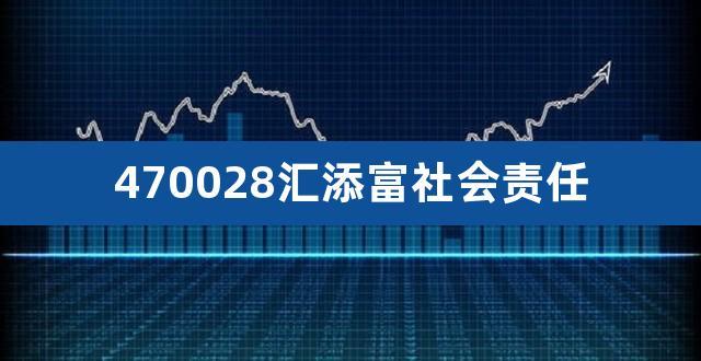 汇添富社会责任基金470028-汇添富社会责任基金历史净值
