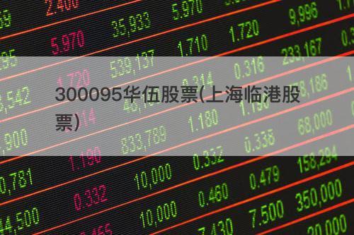 300095-300095华伍股票股吧