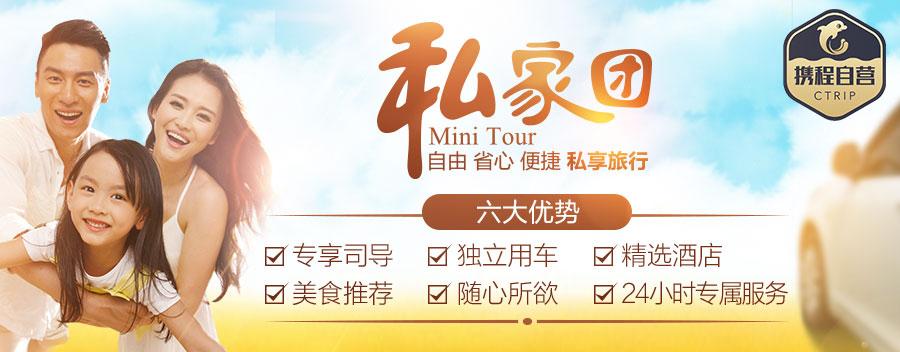 私家团-私家团什么意思