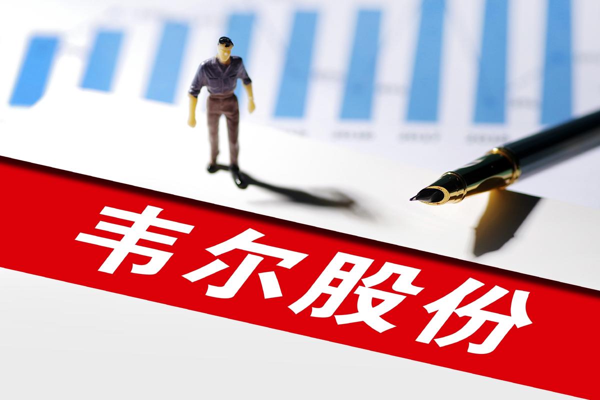 韦尔股份-韦尔股份公司简介