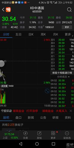 xd中国中-xd中国中股票是什么意思啊