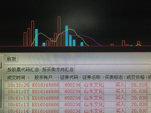 st山水-st山水股票600234