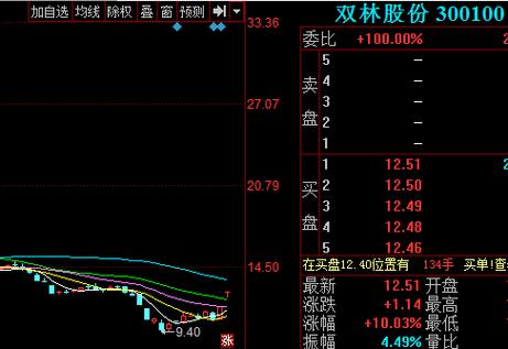 300100股票-300100股票咨询