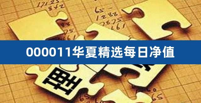 华夏精选-华夏精选基金000011