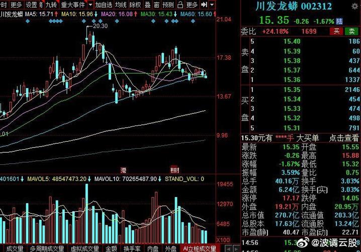 002312-002312川发龙蟒股吧