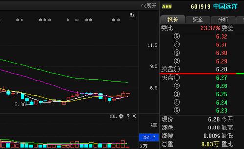 中国远洋股票-中国远洋股票601919股票行情