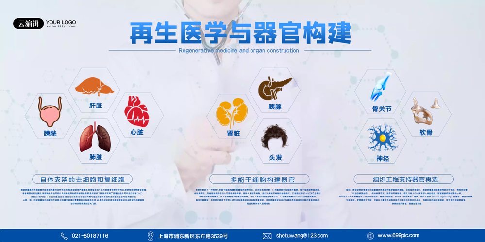 再生医学-再生医学是什么意思