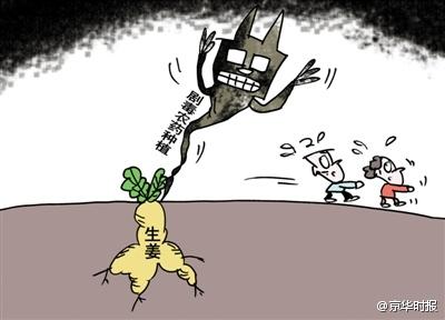 毒生姜事件-毒生姜事件案例分析