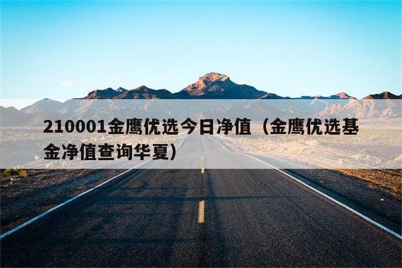 金鹰优选基金净值-金鹰优选基金净值查询