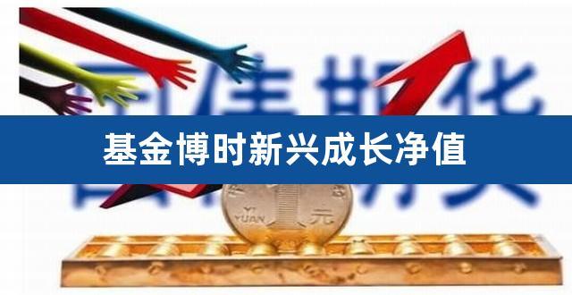新兴成长基金净值-博时新兴成长基金净值