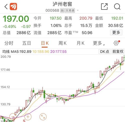 泸州老窖股票-泸州老窖股票代码是多少