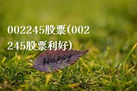002245-股票002245