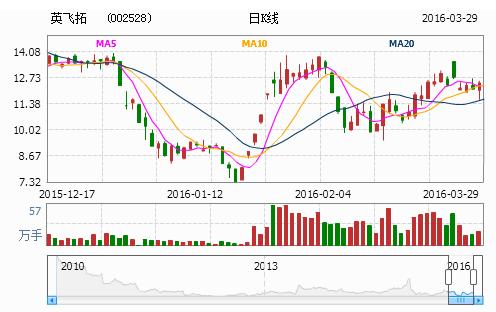 002528股票-002528股票行情