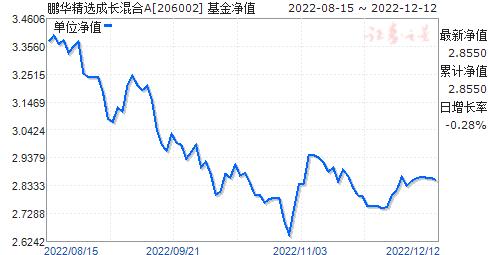 206002-206002基金净值查询今天