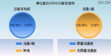 600423-600423柳化重组