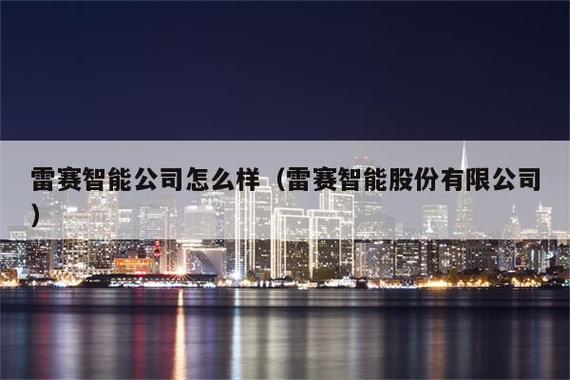 雷赛智能-雷赛智能半年报