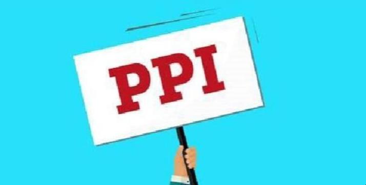 ppi-ppi是什么意思啊