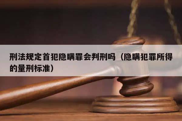 隐瞒-隐瞒掩饰犯罪所得量刑