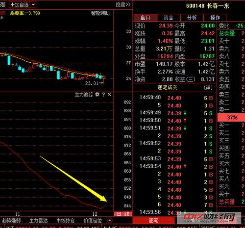 600148股吧-600148股票分析