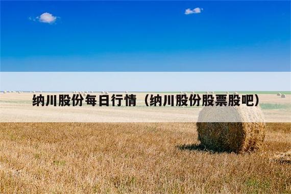 纳川股份股票-纳川股份股票股吧