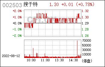 股票002503-股票002503搜于特
