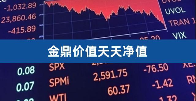 金鼎价值基金-金鼎价值基金有哪些
