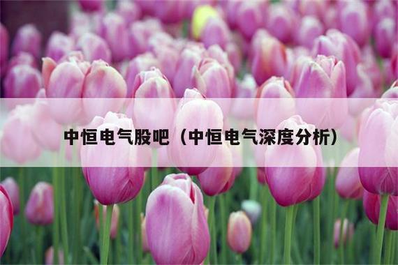 中恒电气股票-中恒电气股票股吧