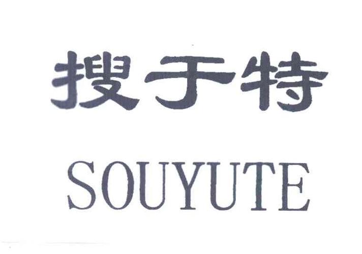 搜于特-搜于特集团股份有限公司