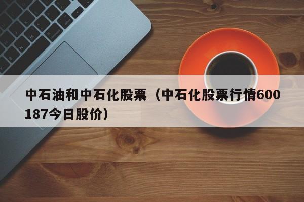 中石油 股票-中石油股票行情600187