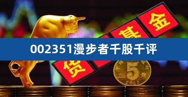 601956-601956千股千评
