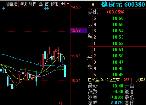 600380股票-600380股票行情
