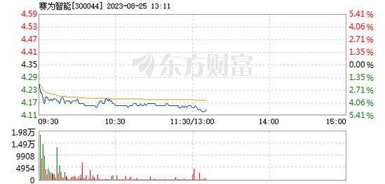 300044赛为智能-300044赛为智能股吧300231