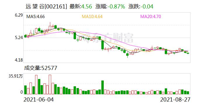股票002161-股票002161多少钱