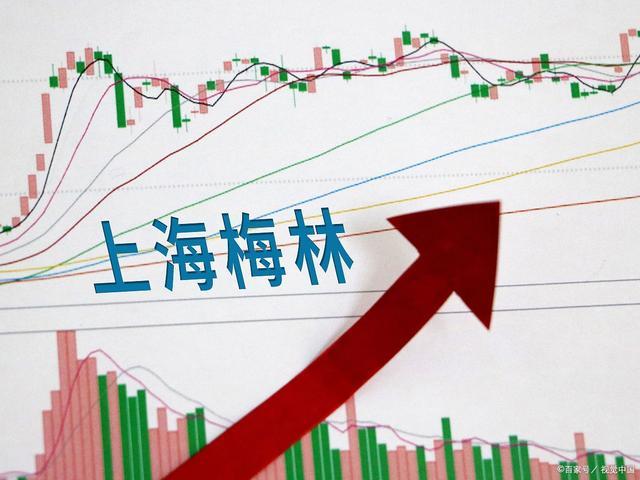 股票600073-股票600073上海梅林